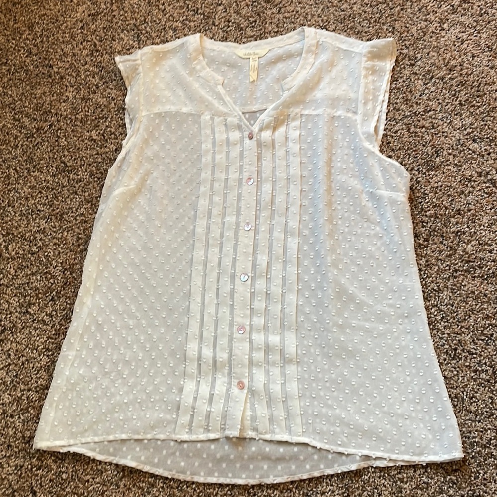 Sheer Matilda Jane Blouse